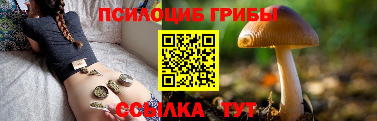 Вольск  где купить наркоту  Вход с VPN  Галлюциногенные грибы мицелий 